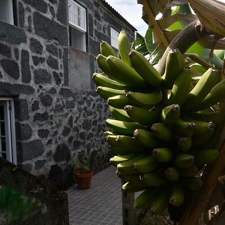 Adega Do Gato Hotel Calhau Exterior photo
