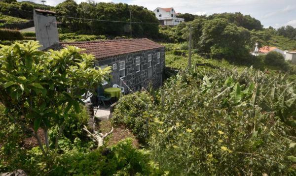 Adega Do Gato Hotel Calhau Exterior photo